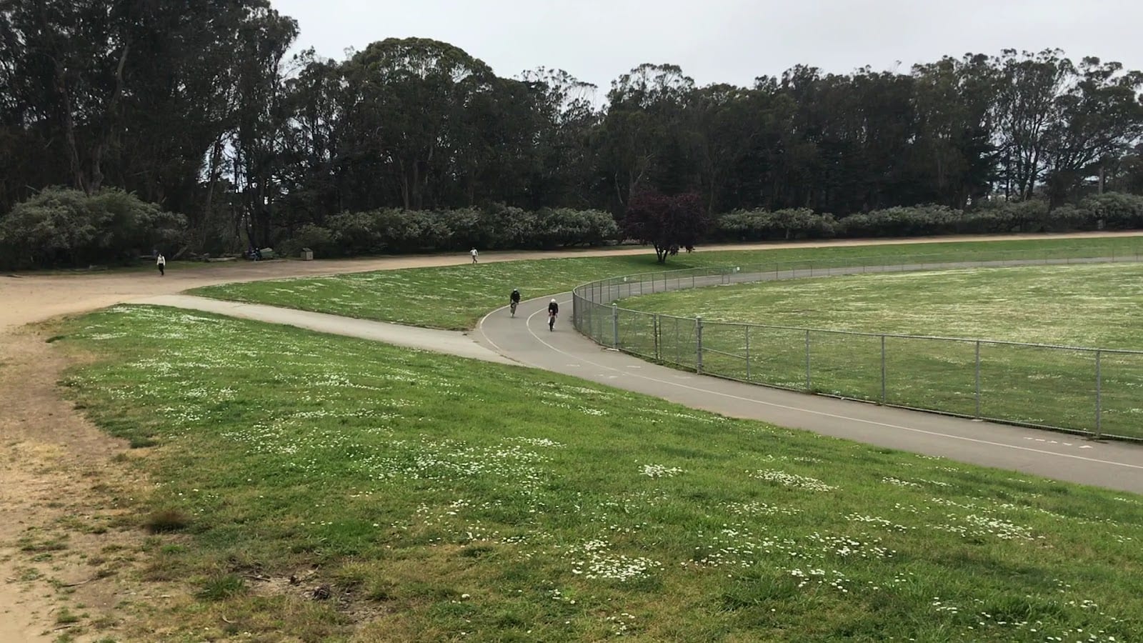 Golden Gate Park Polo Field, photo 2
