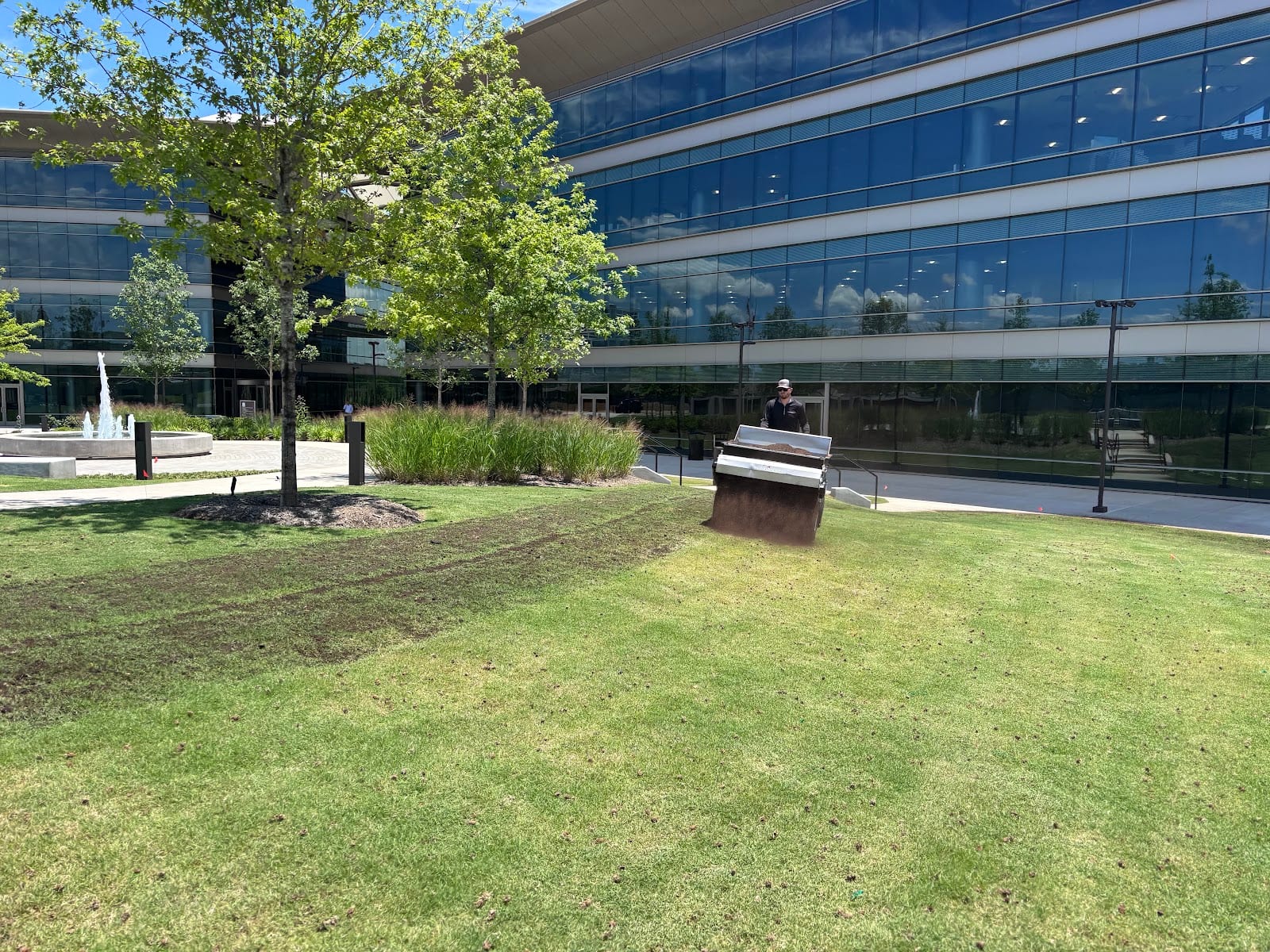 Top Dressing, photo 2