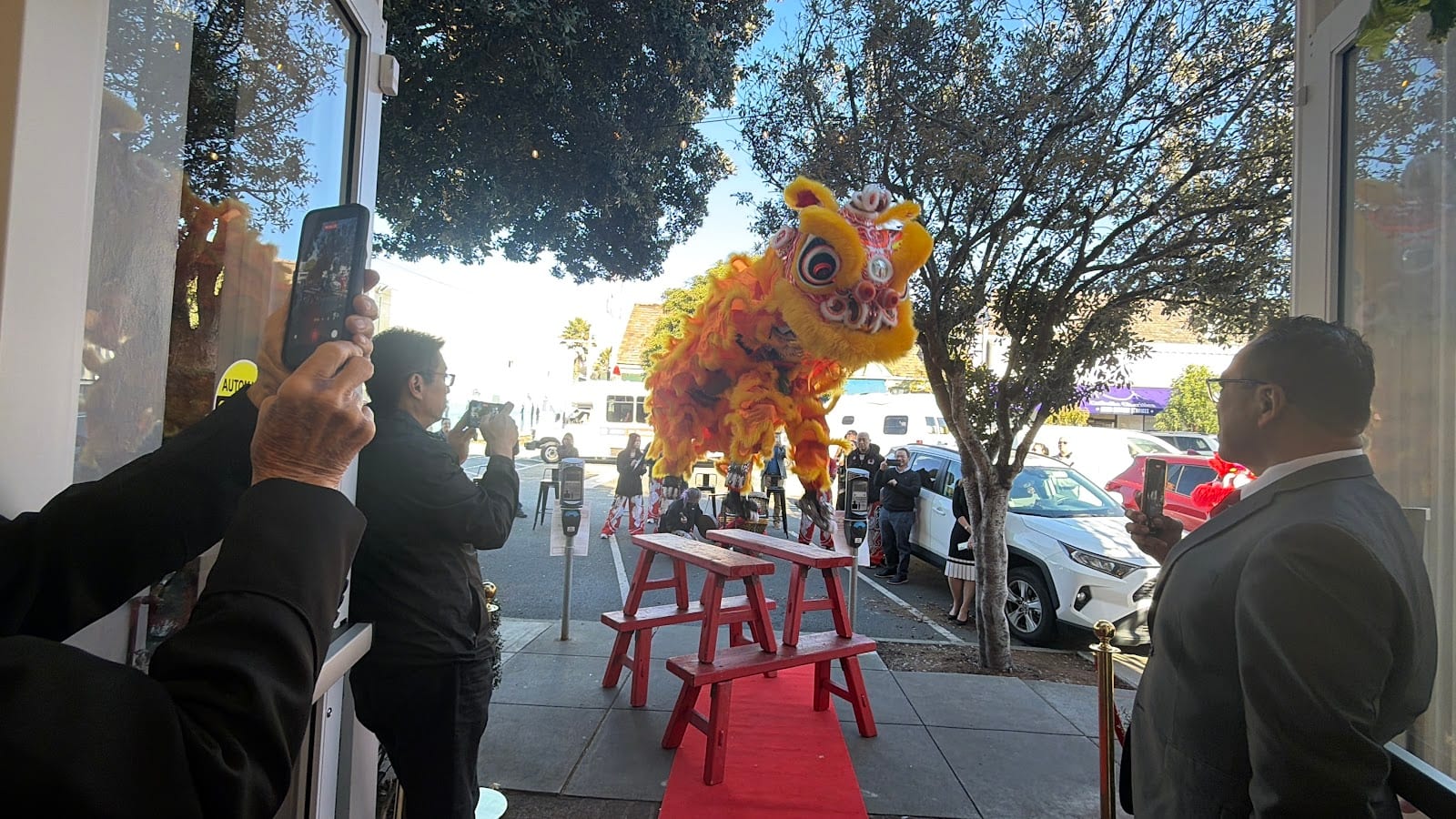 Leung's White Crane Dragon & Lion Dance Association, photo 4