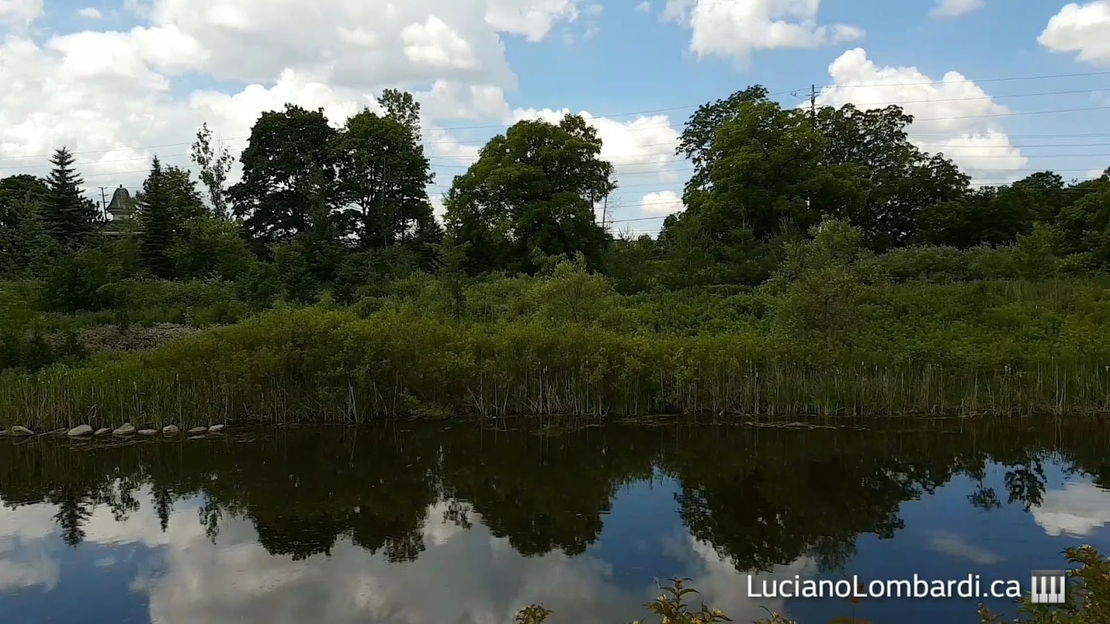 Rumble Pond Park, photo 2