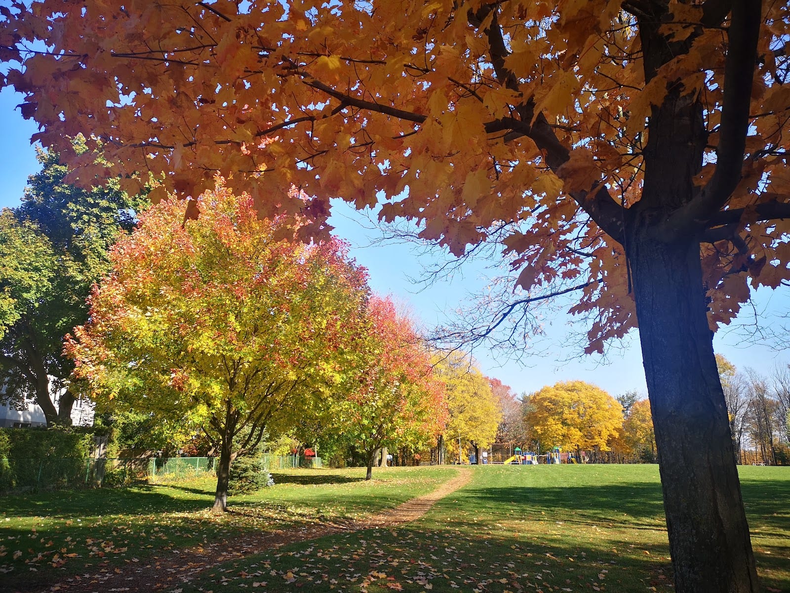 Gwendolen Park, photo 3