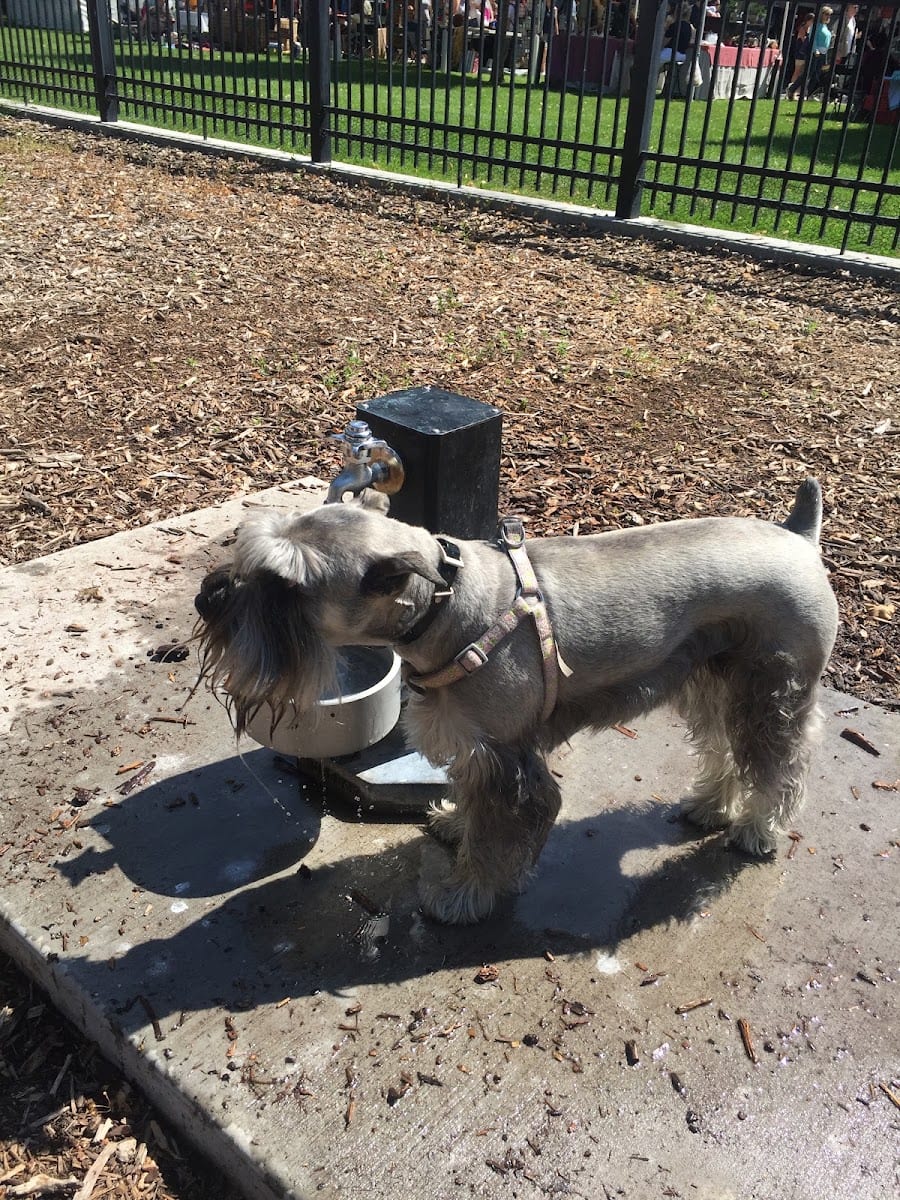 Pioneer Dog Park, photo 3