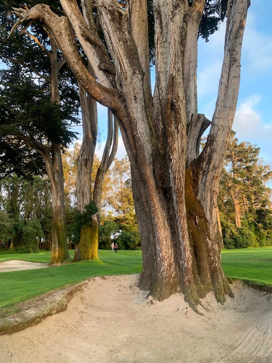 San Francisco Golf Club, photo 3
