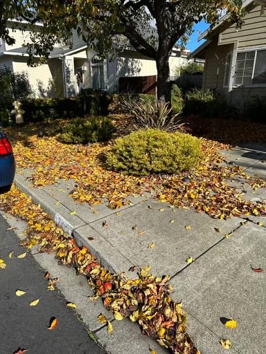 Mike's Gardening Service, photo 4