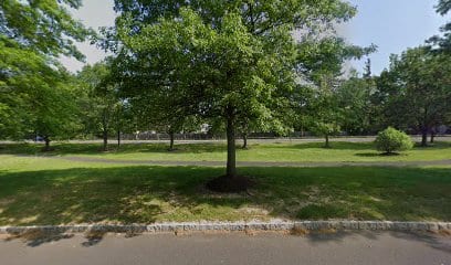 Green Tree Group Contracting LLC