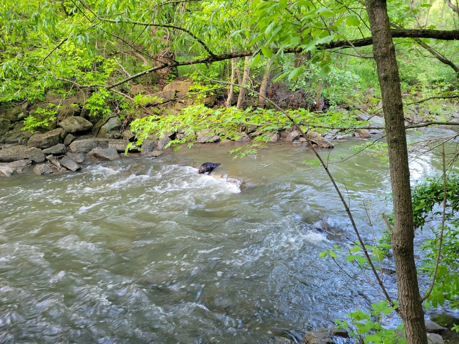 Upper Don Recreation Trail, Finch Ave. E. North Side Entrance, photo 3