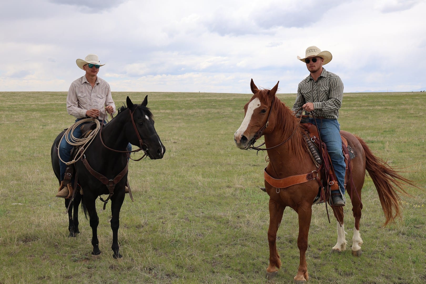 Colorado Land and Ranches, photo 4