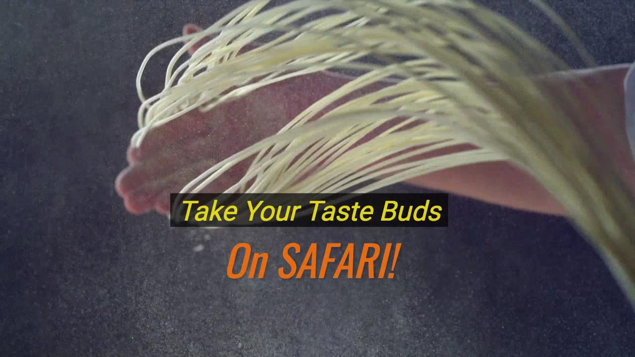 Safari Bar and Grill 1749 Avenue Rd, photo 3