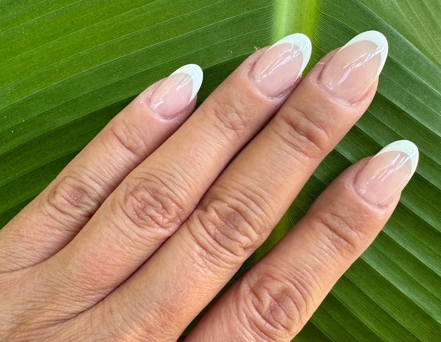 Zendo Nail Spa
