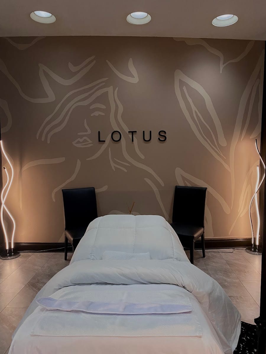 Lotus Skin + Brow, photo 4