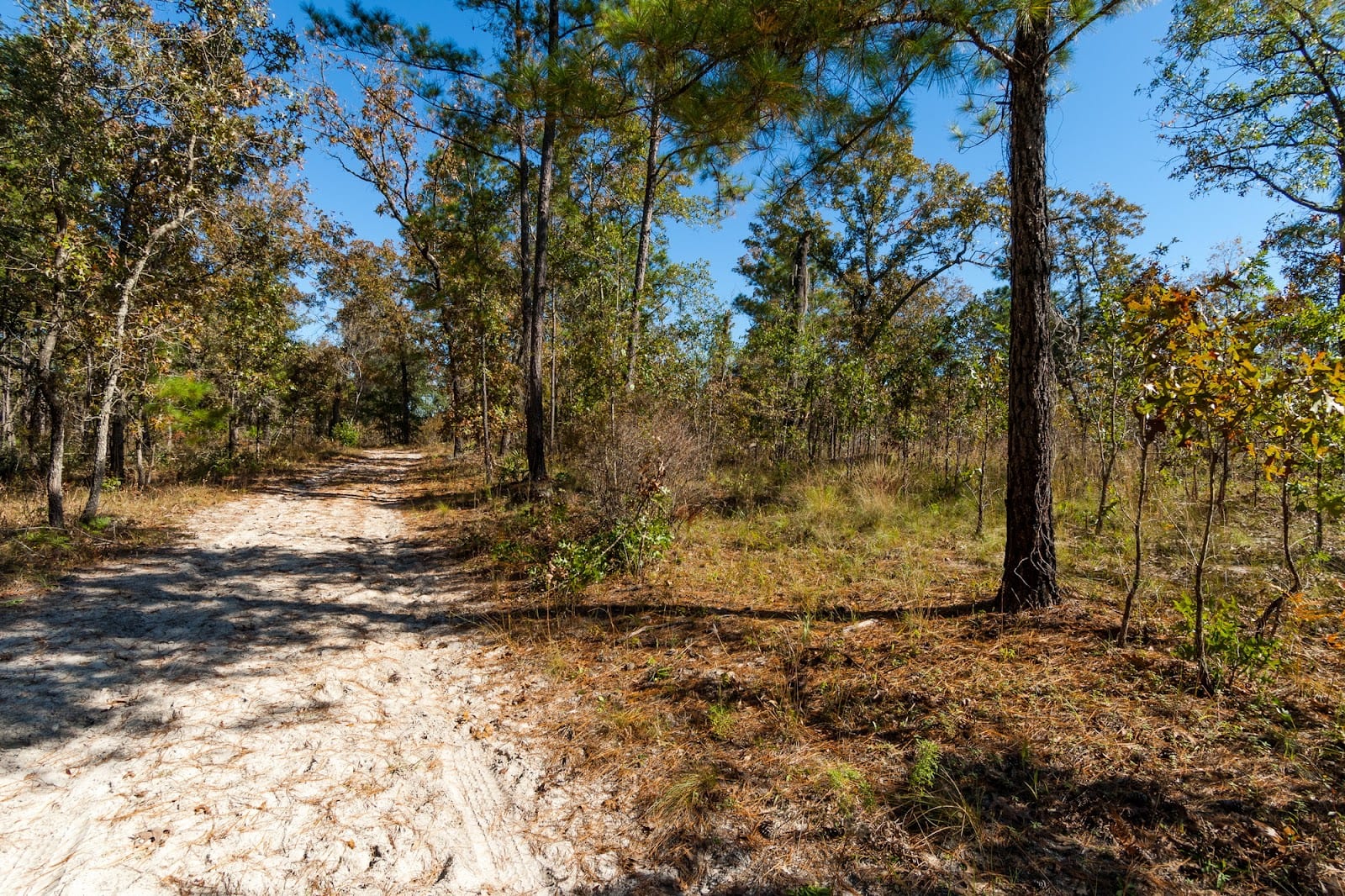 Black Creek Ravines Conservation Area, photo 2