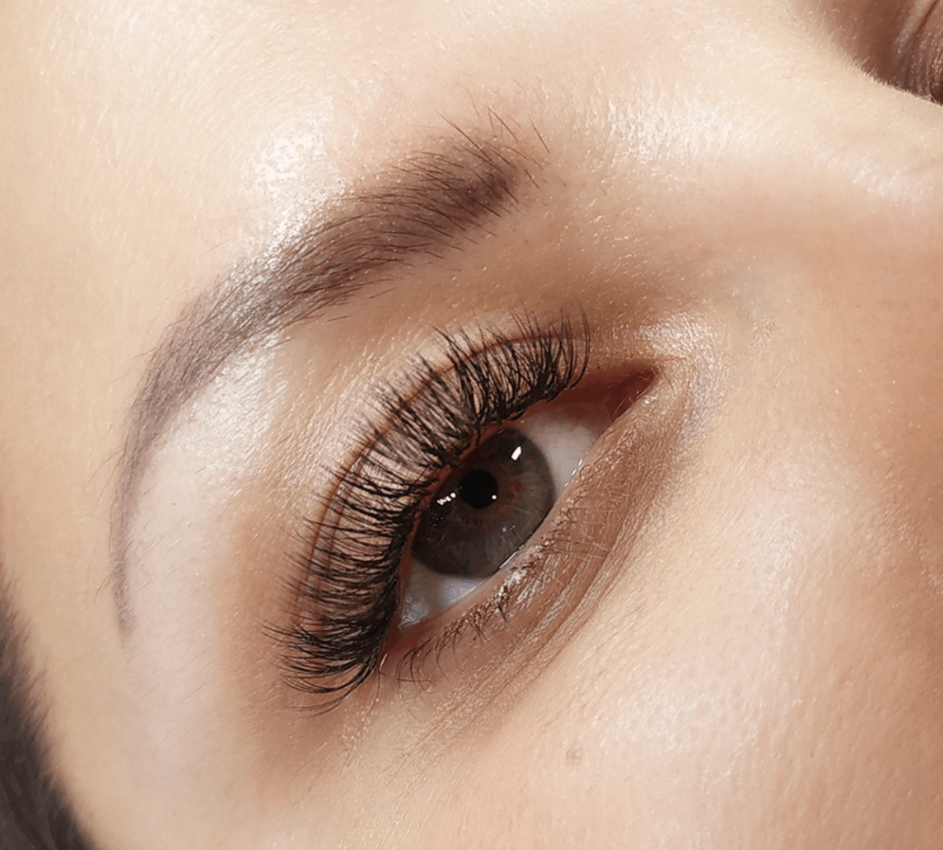 The Lash Experience