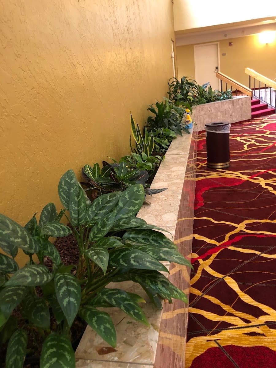 Lbk Plantscapes & Lawn Care, photo 3