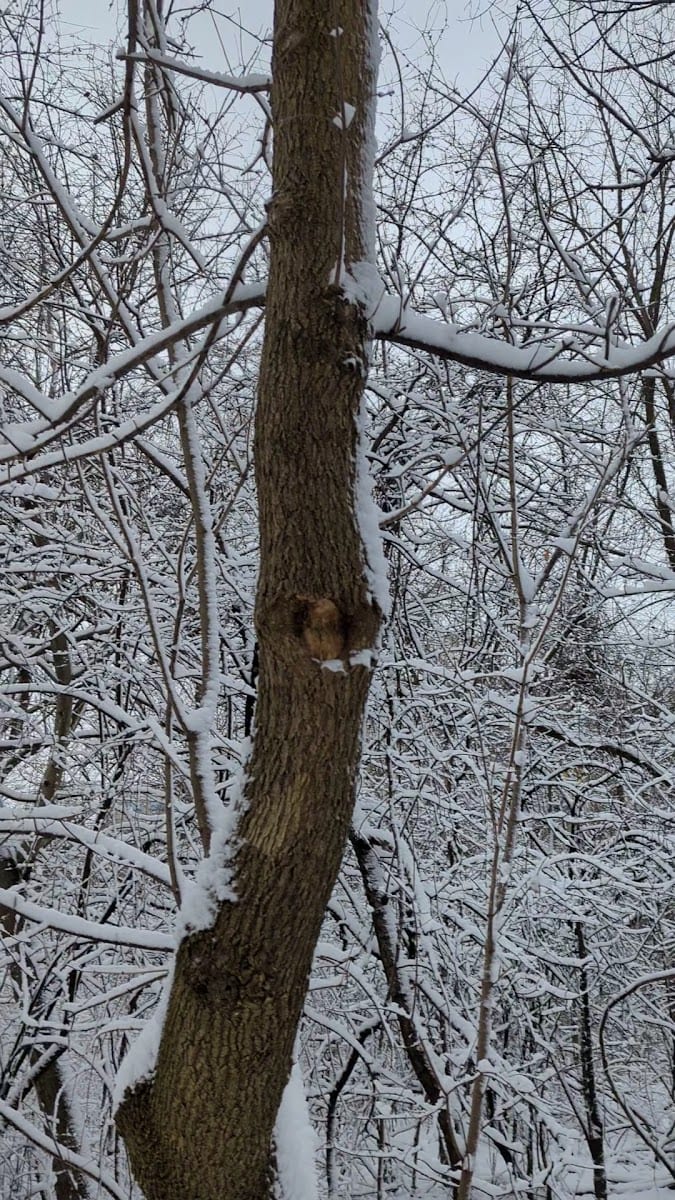 Betty Sutherland Trail Park, photo 2