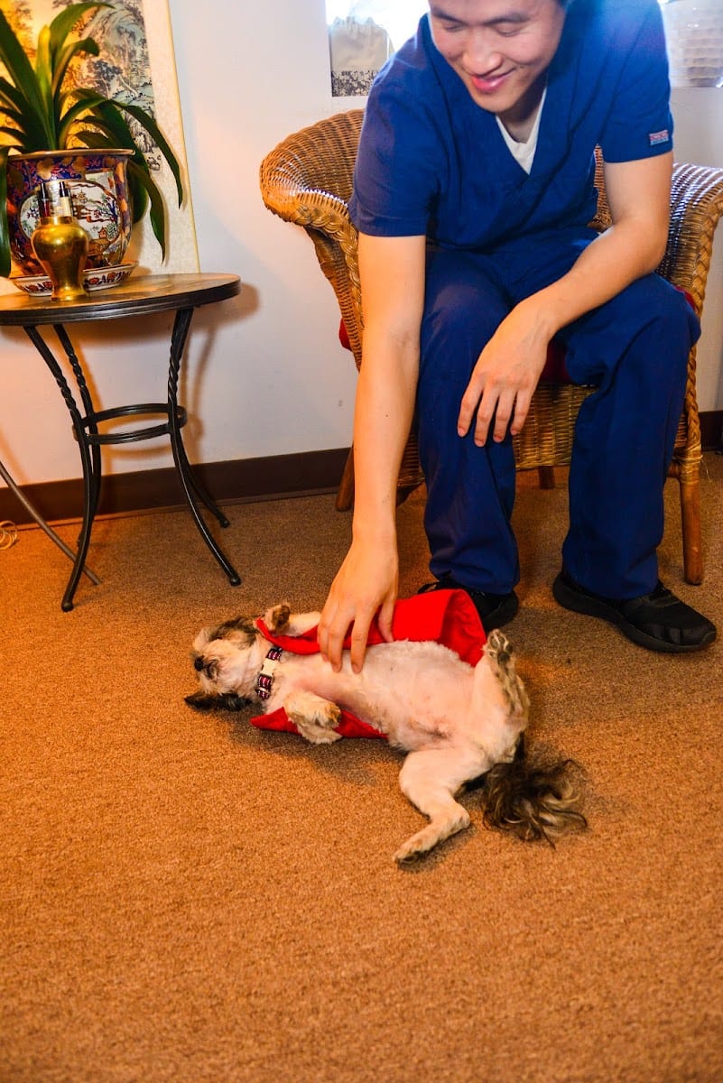Shie Ji Acupuncture and Chiropractic