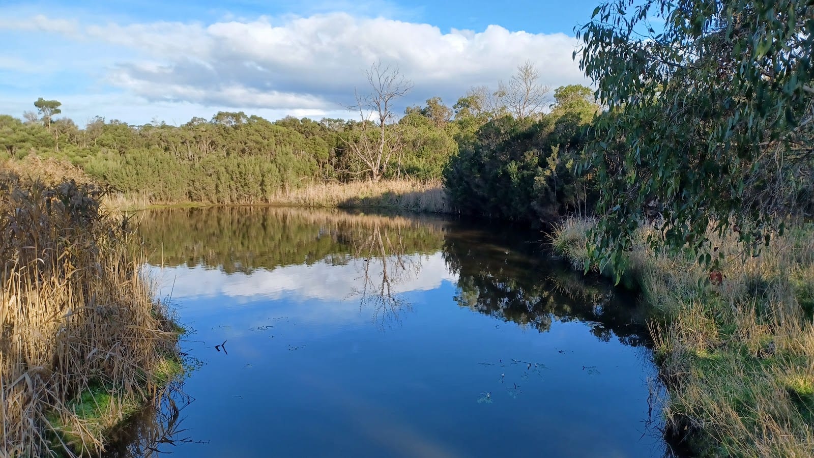 The Briars Wildlife Sanctuary