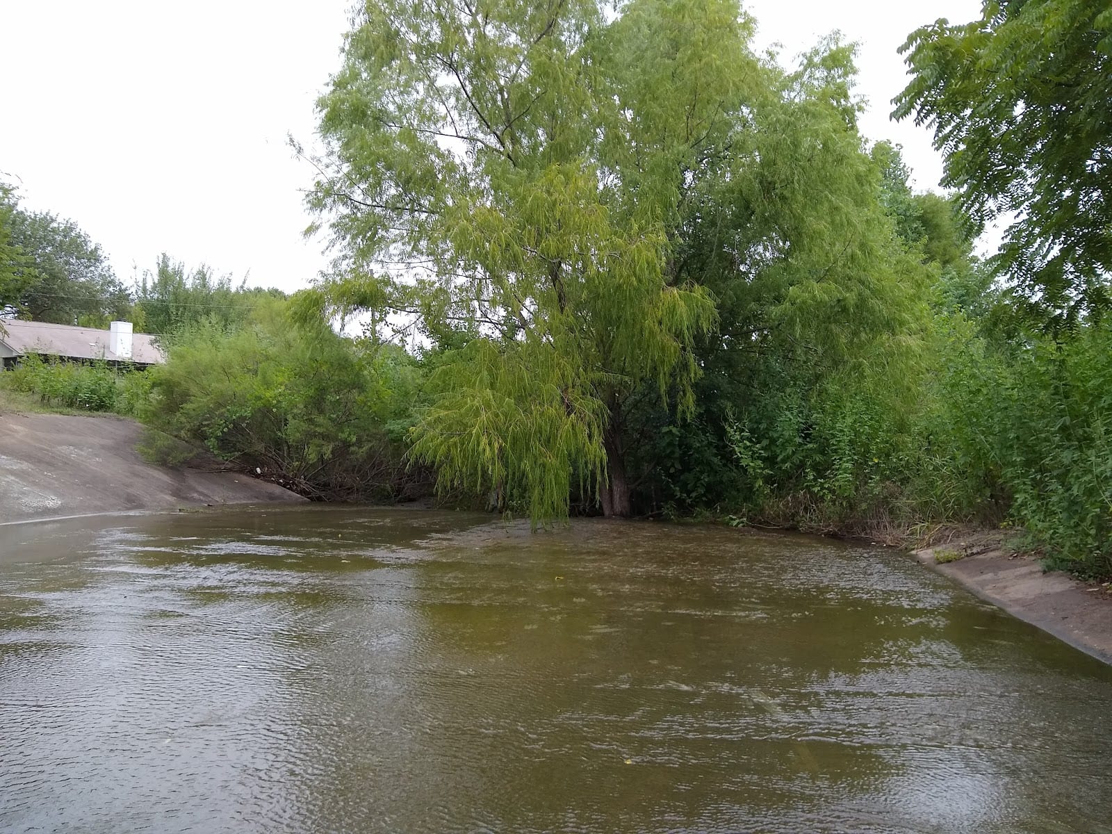 Kensington Greenbelt, photo 4