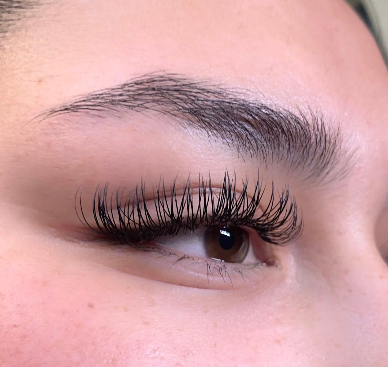 Beehive Lashes, photo 3
