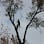 Environmental Tree Service LLC