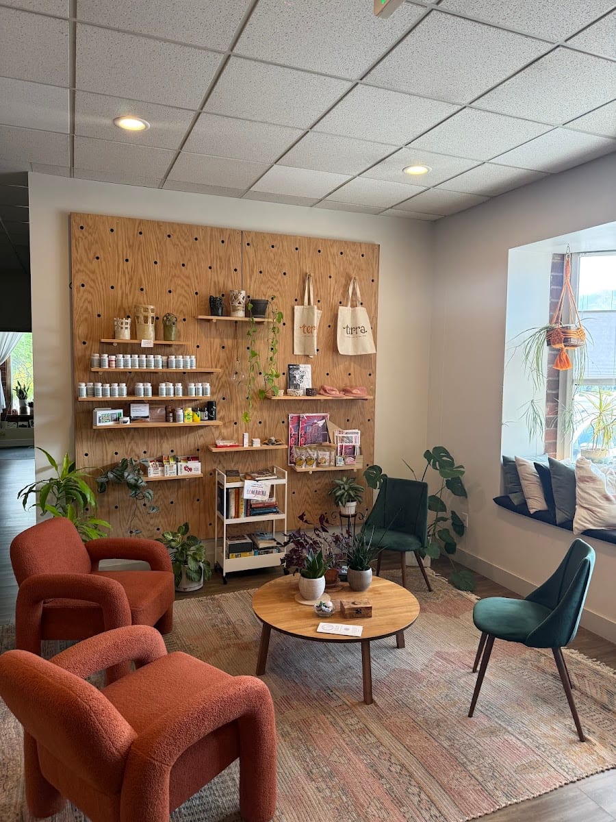 Dr. Allysa Rimkus Chiropractic