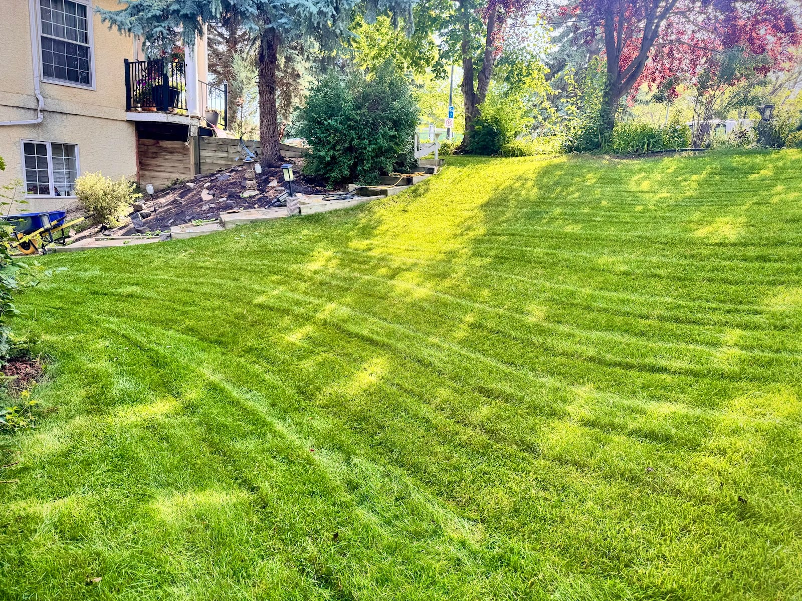 Lush Lawn Care, photo 4