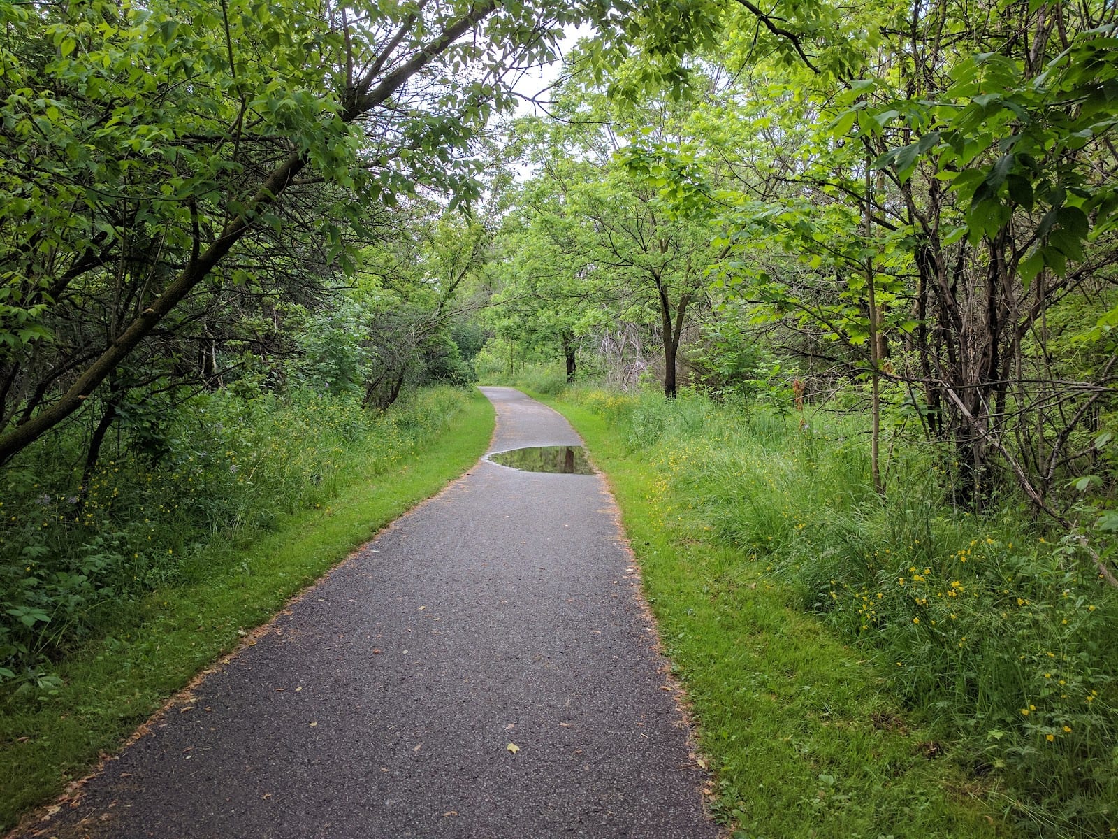 Hillcrest Heights Park