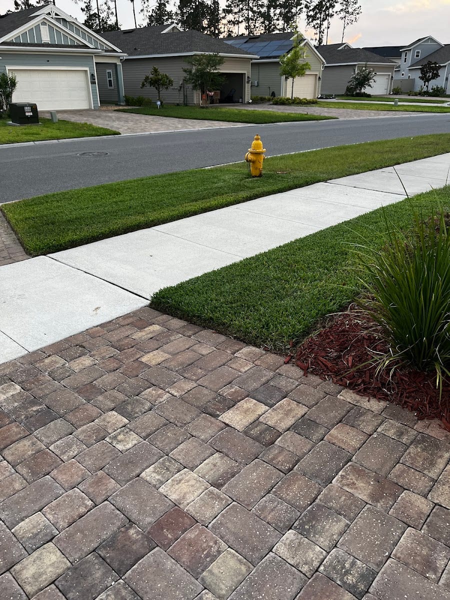 Root Solutions Termite, Lawn & Pest, photo 4
