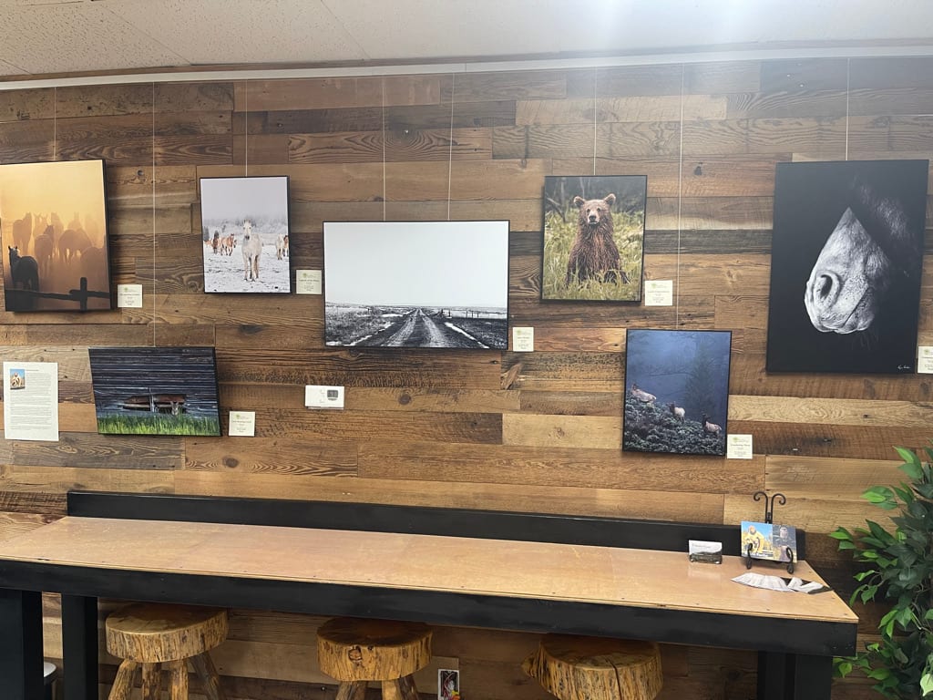 Seed & Sage Studio