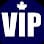 VIP Carwash