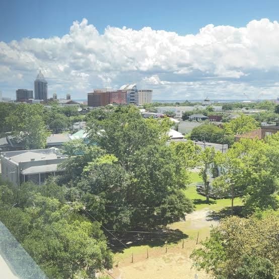 Above it All-downtown, gym, free parking, cruise, Mardi Gras, cozy, stylish