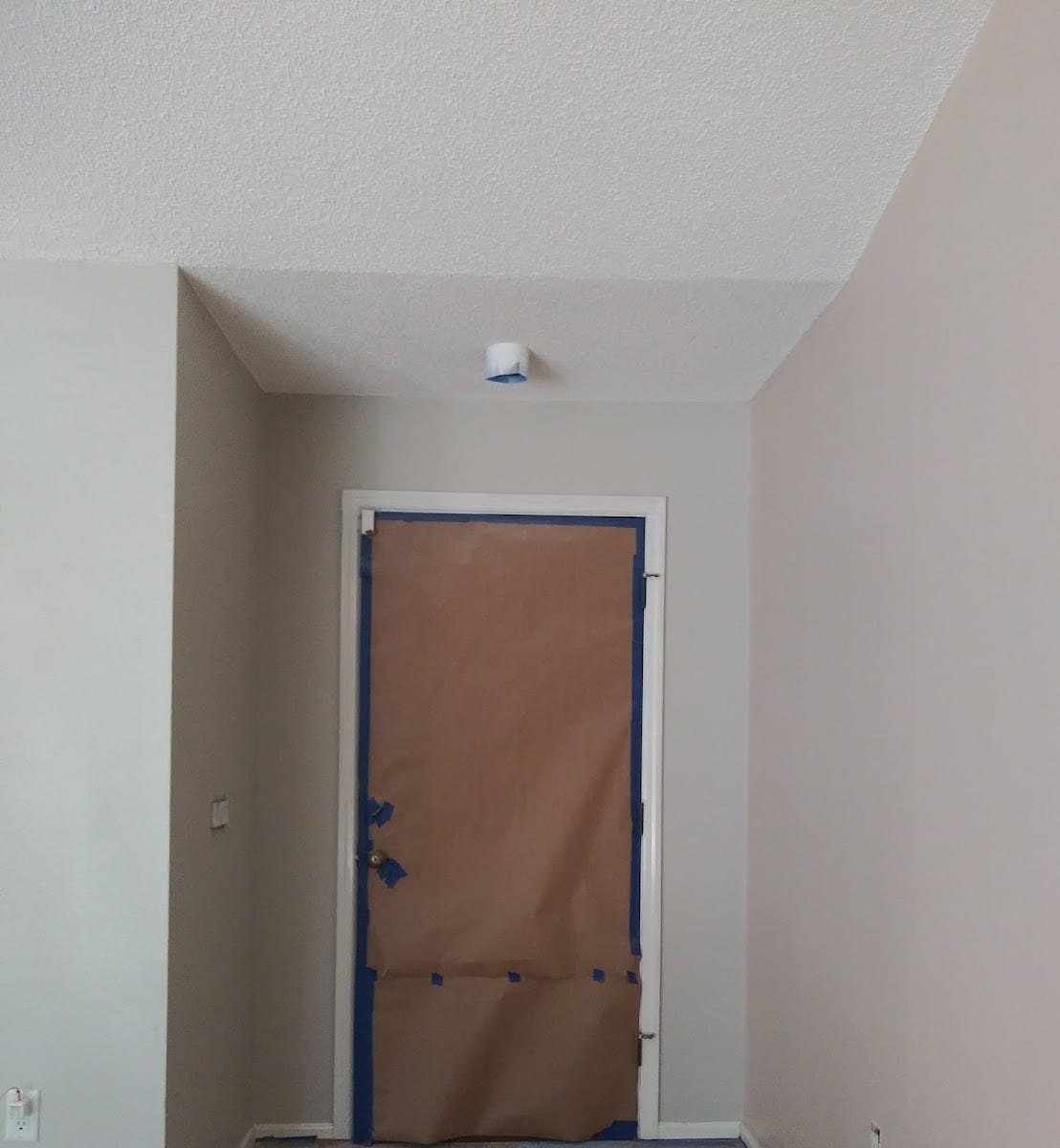 Paradise professional painting