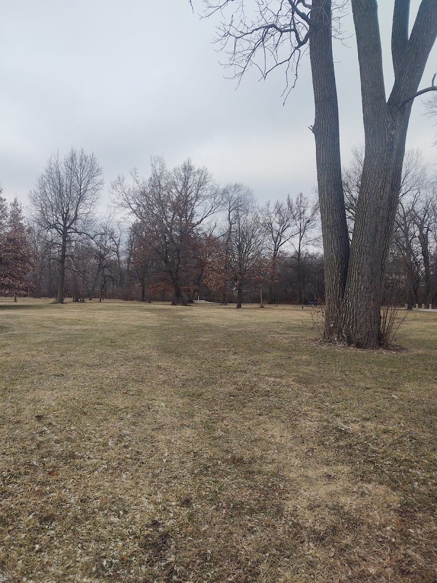 Vesey park, photo 3