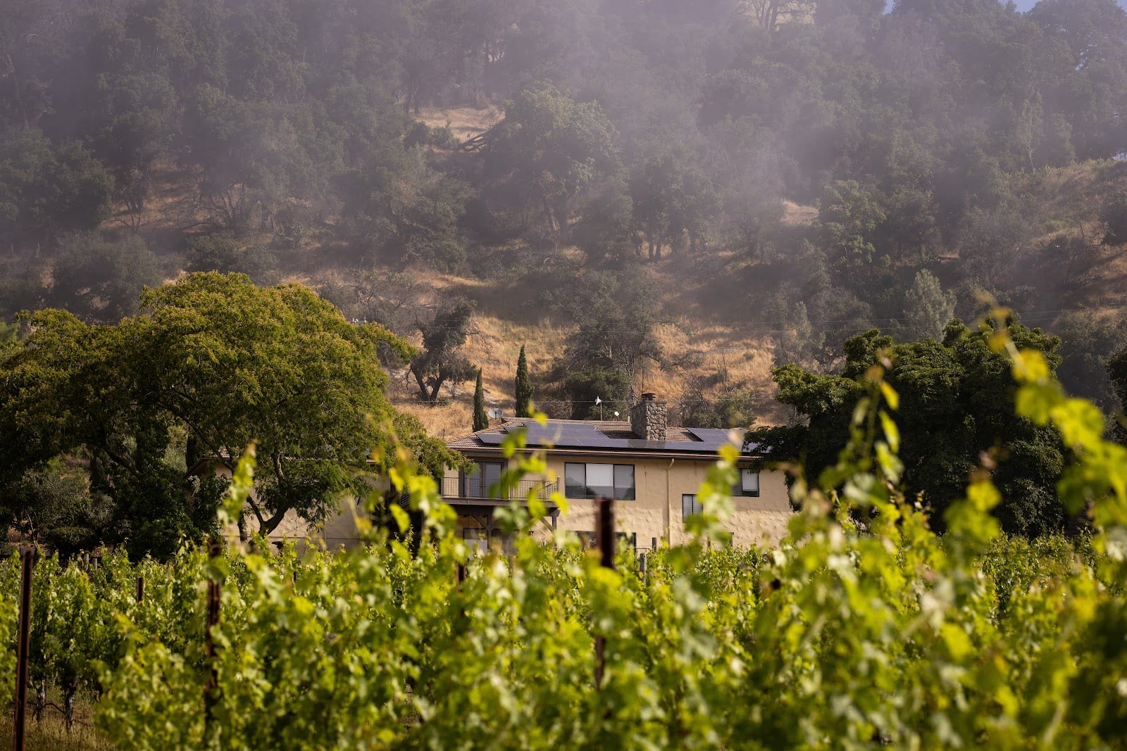 Sommras Wines