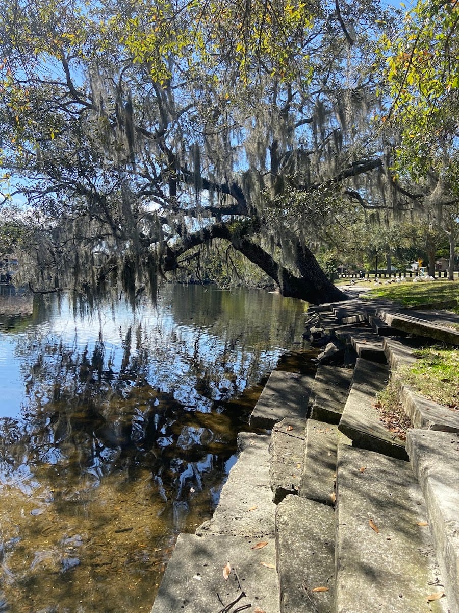 City of Tampa Park