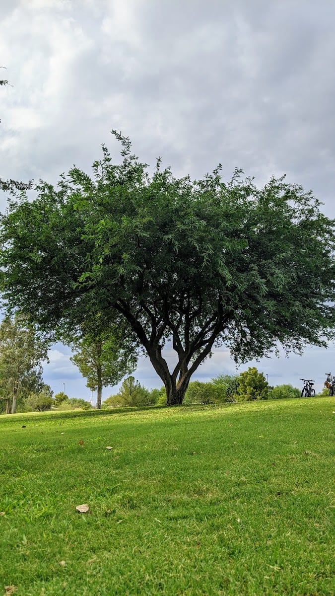 Silverlake Park, photo 3