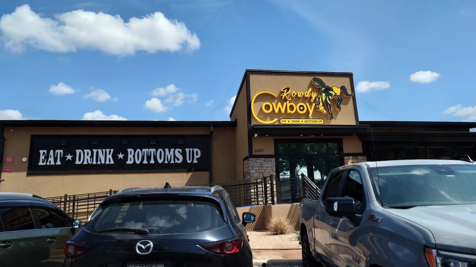 Rowdy Cowboy
