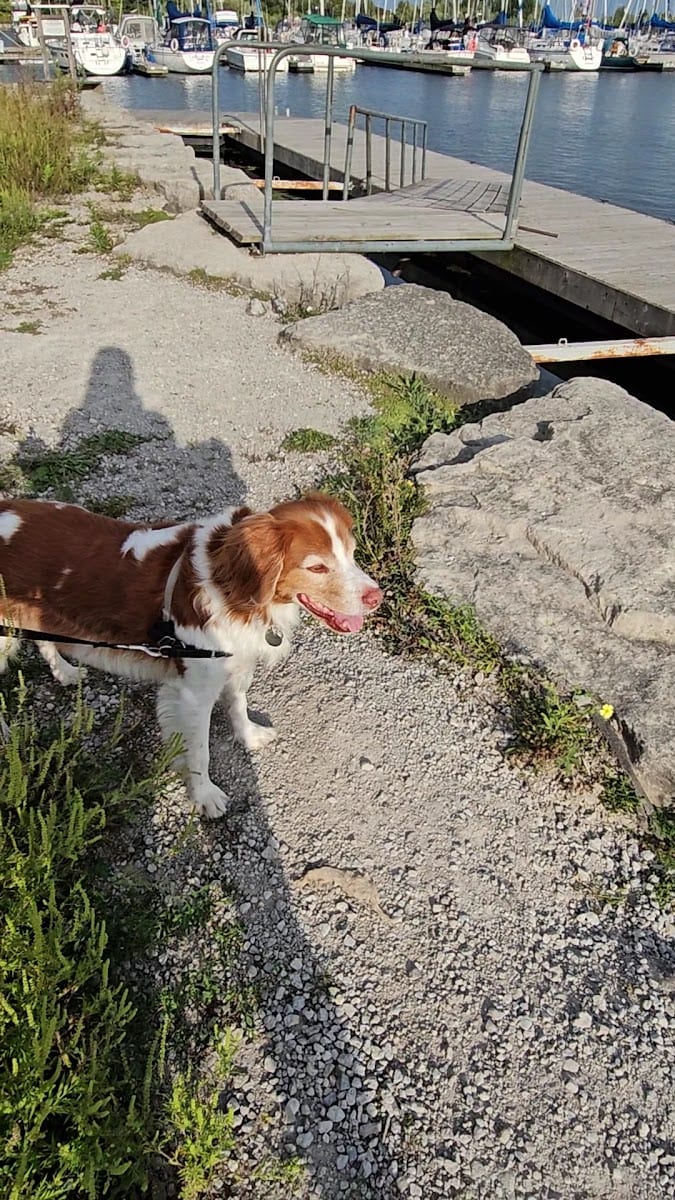 Colonel Samuel Smith Dog Park, photo 2