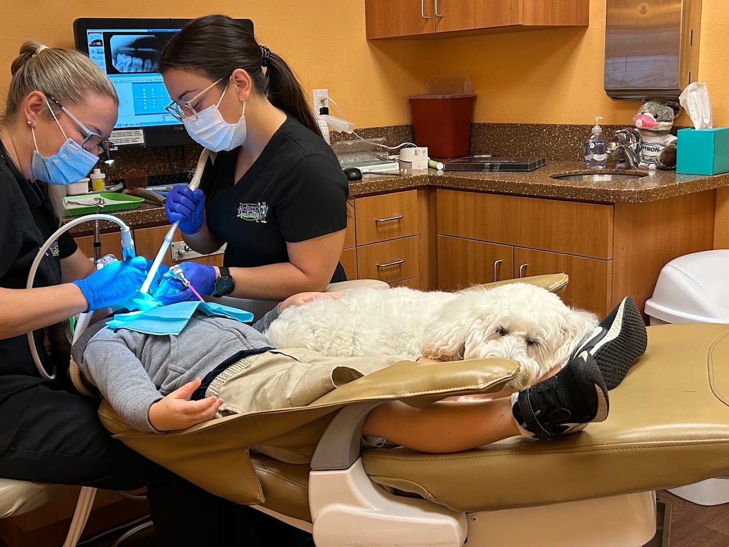 Pediatric Dentistry of Port Charlotte, photo 3