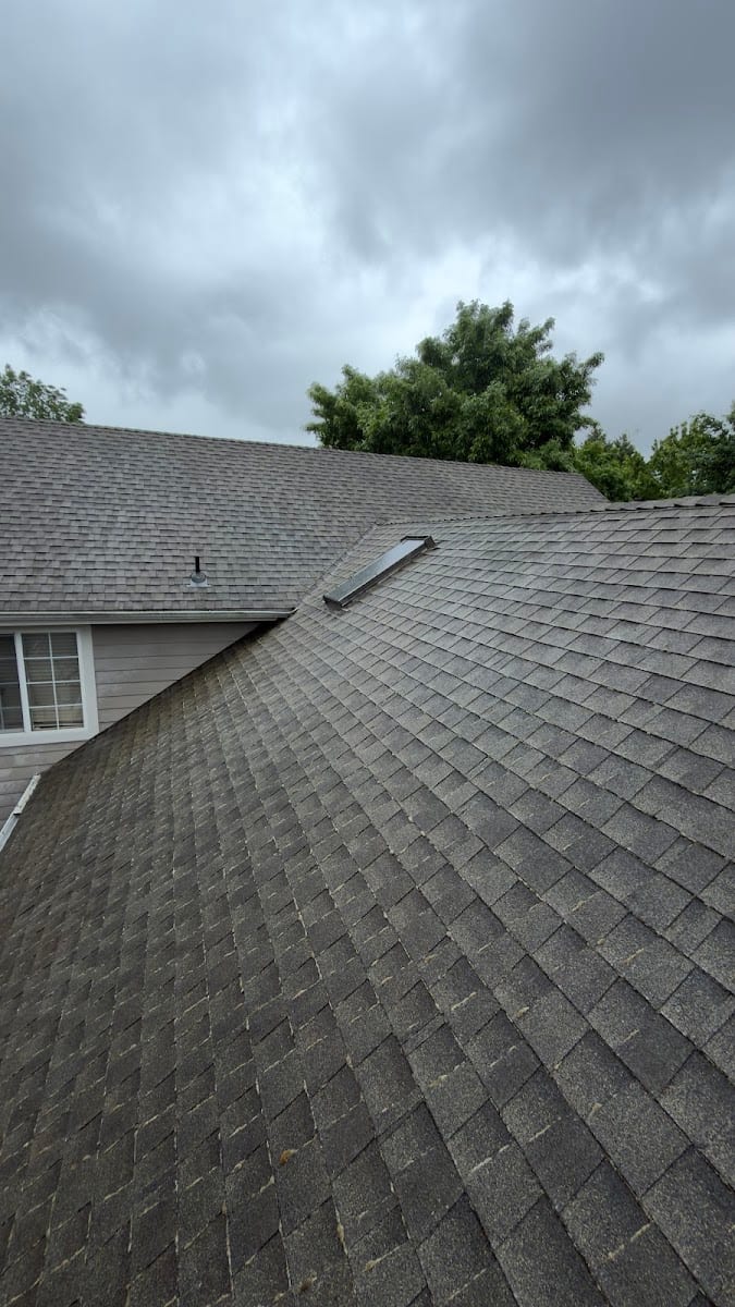 Bayside Exterior Cleaning