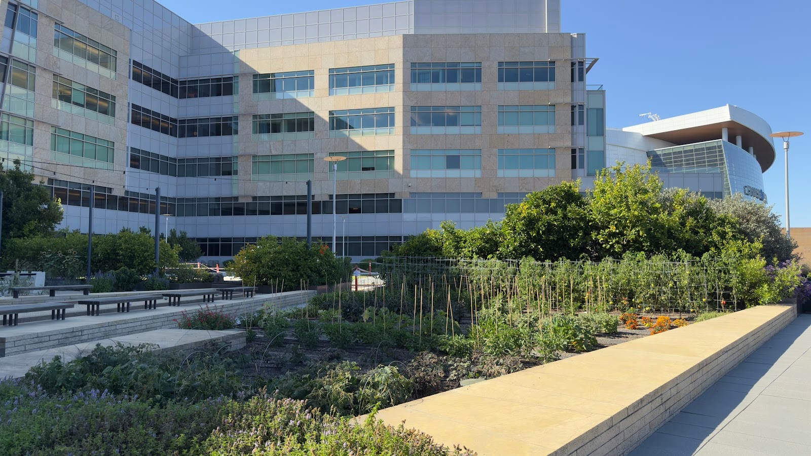 STEM Kitchen | Garden, photo 4