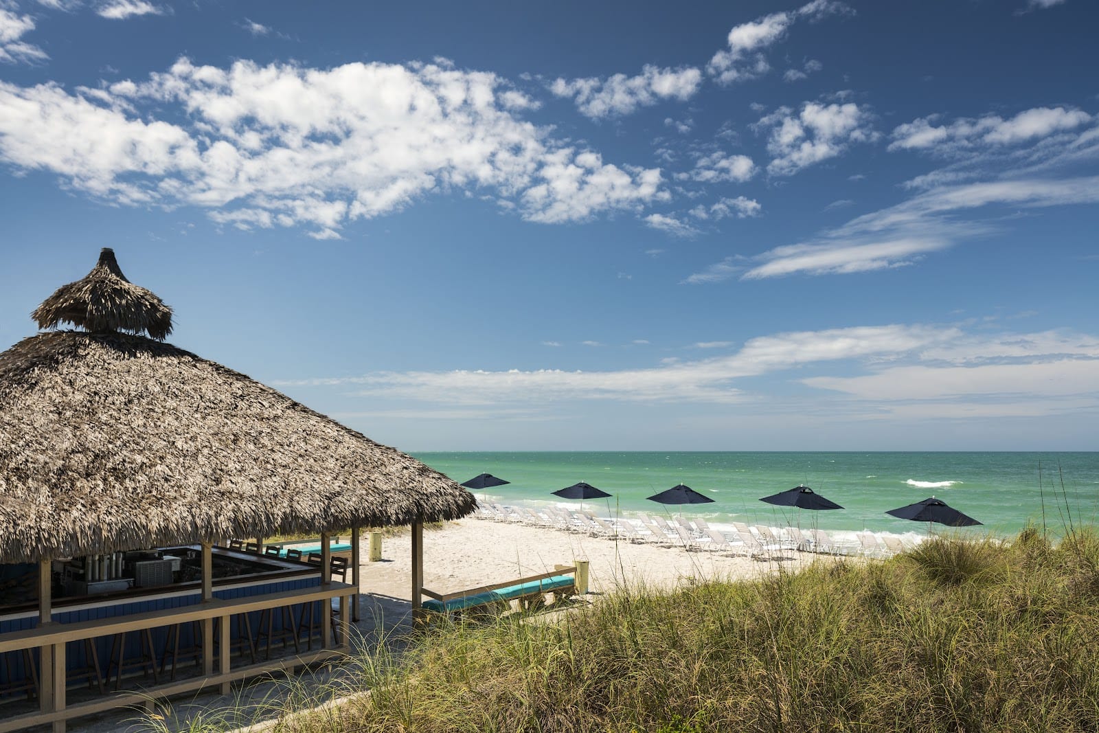 Lido Key Tiki Bar, photo 2