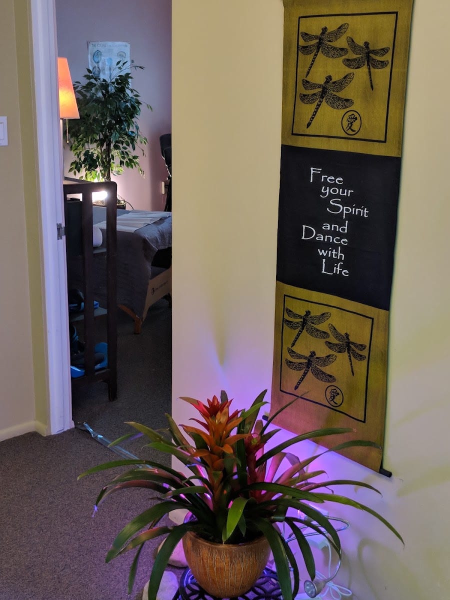 Holistic Chiropractic & Integrative Wellness, photo 2