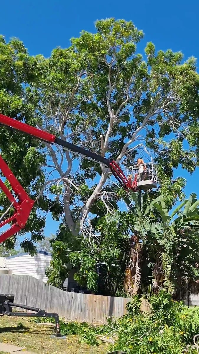 Wade's Tree Service, photo 3