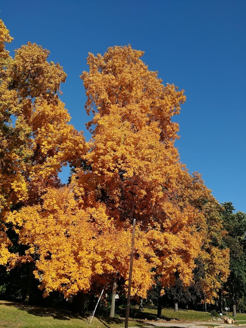 Quaker Park, photo 3