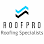 RoofPro Roofing - West Florida