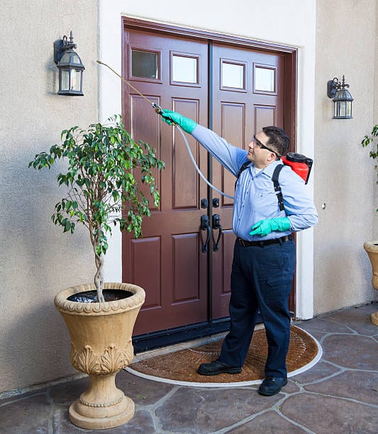 Affordable Flower Mound Pest Solutions, photo 2