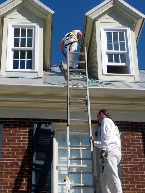 The Pros-Painting