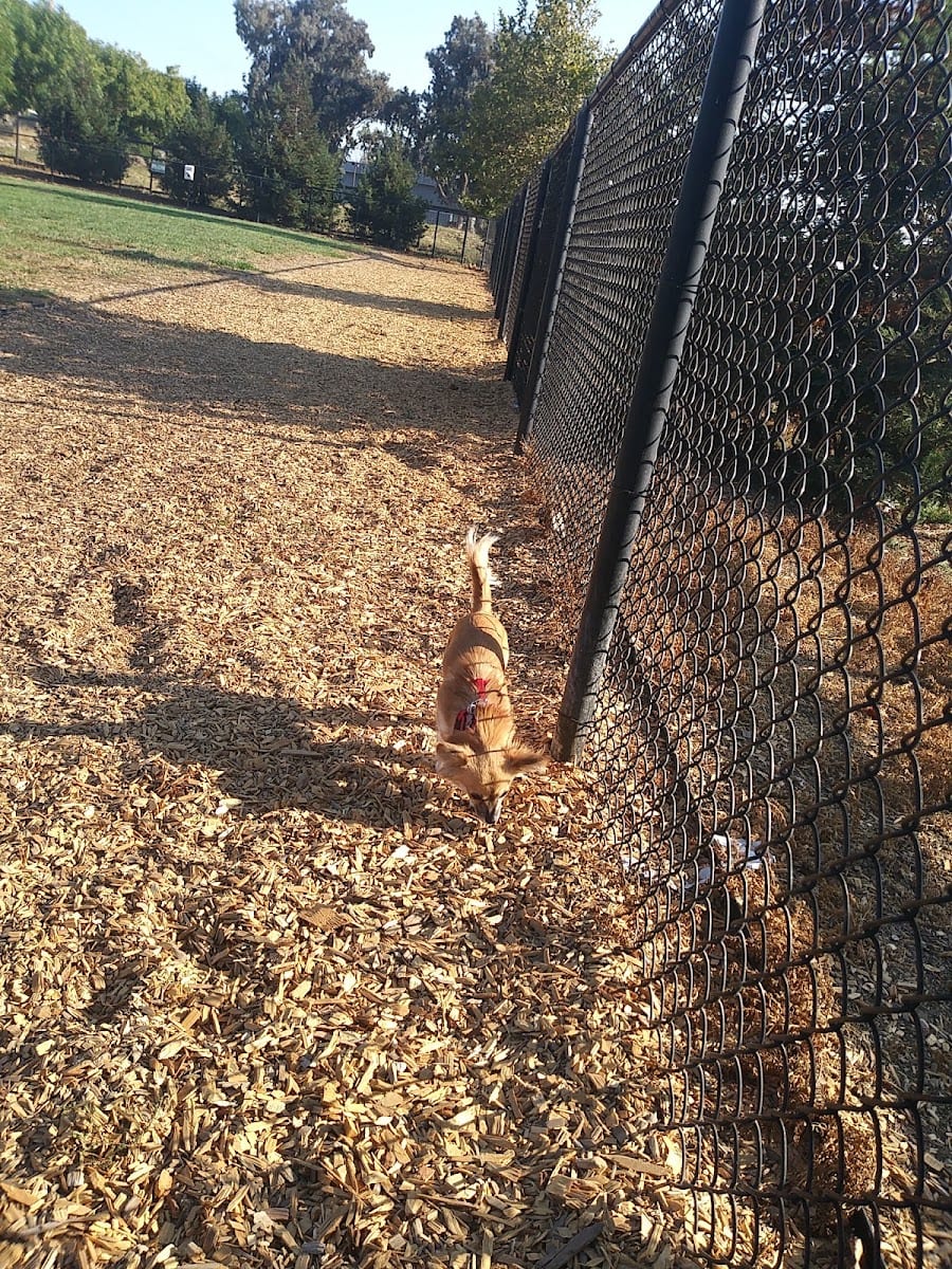 Park, photo 3