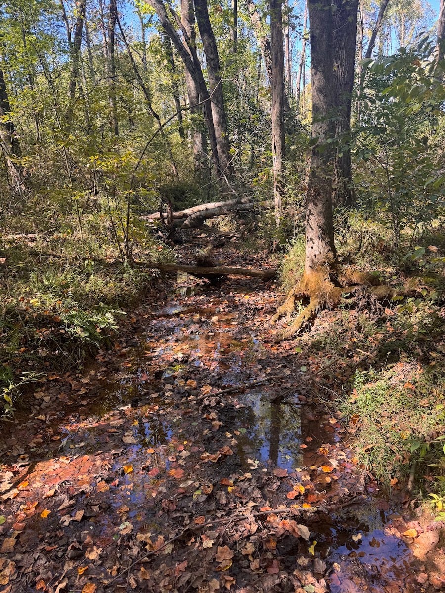 Balch Road Trailhead, photo 3