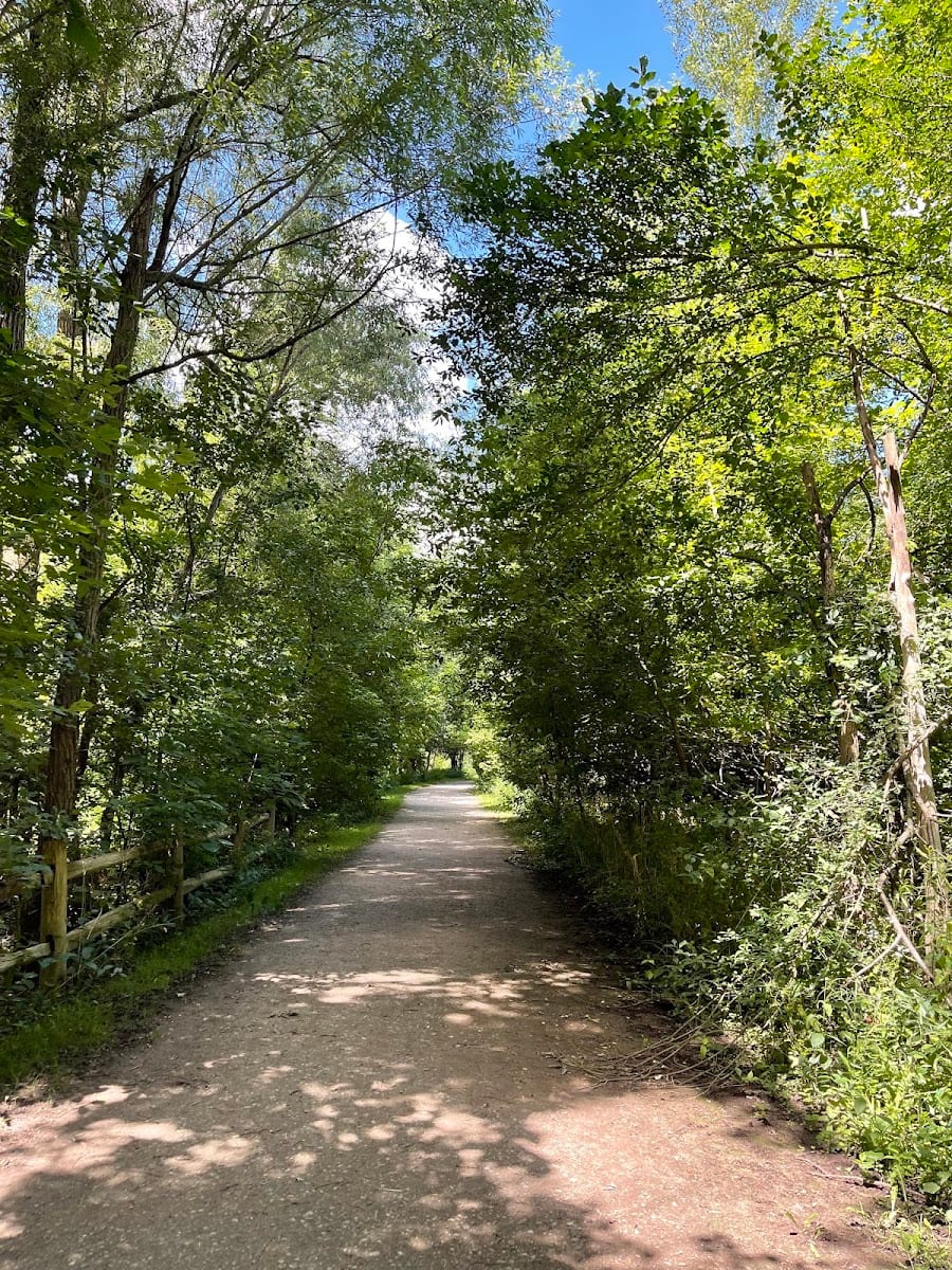 Glendon Forest